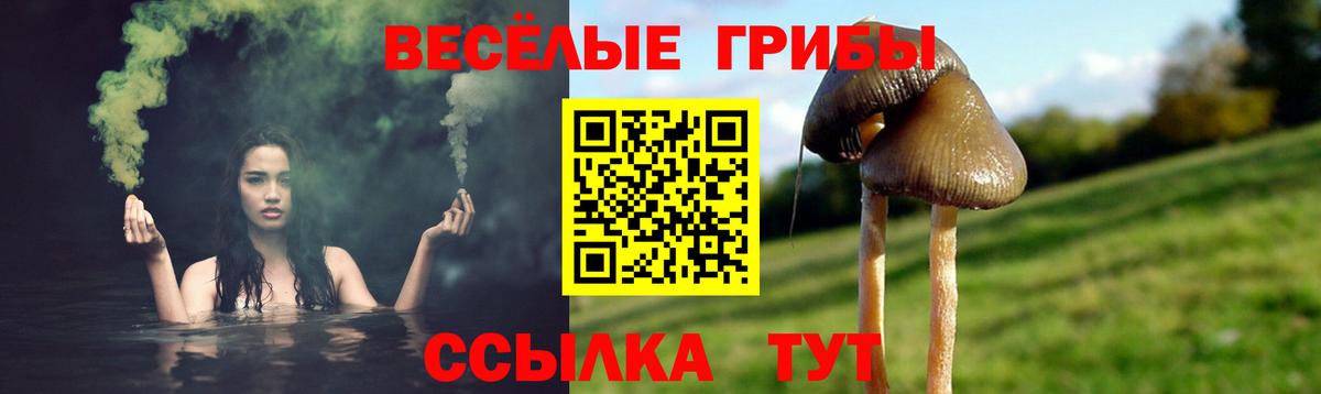 купить наркотики сайты  Псилоцибиновые грибы прущие грибы  Вход с VPN  Подольск 